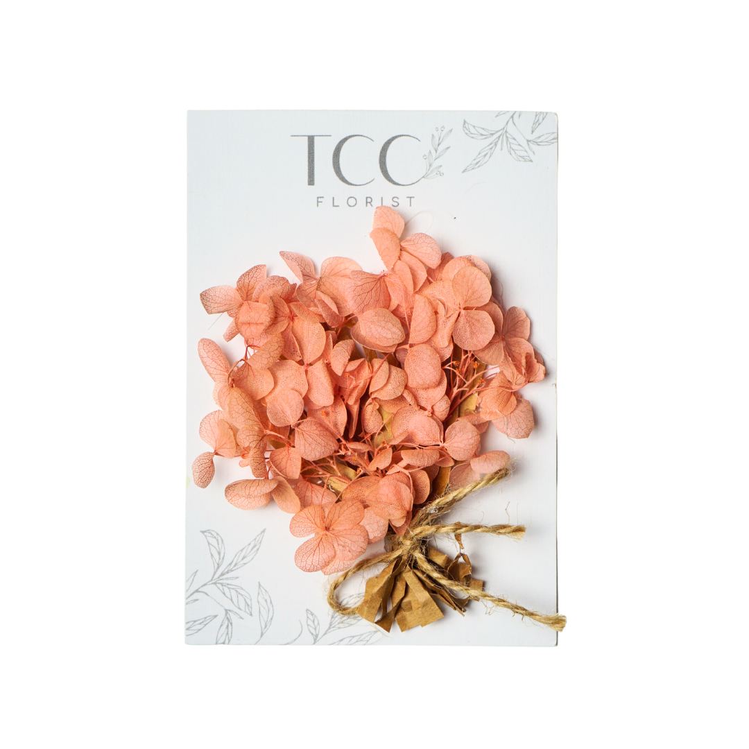 ANDALL X TCC Mini Flowers