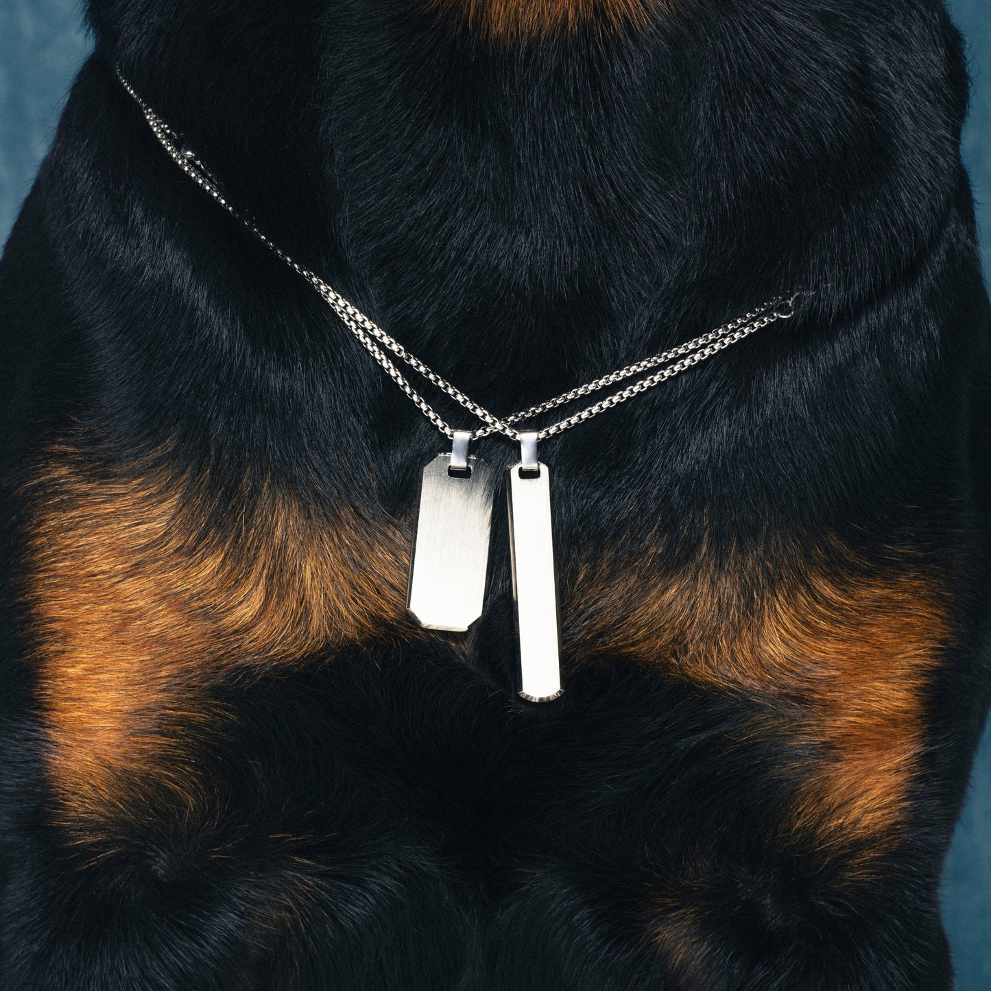 Kalung Pria Ken Liontin 陆军狗牌